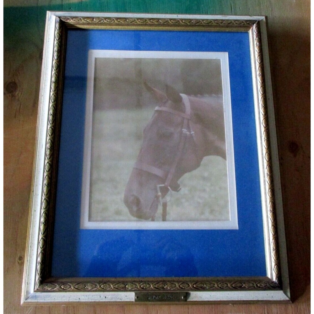 Savoir Faire Framed Horse Photograph 16" x 13"